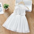thumbnail image 1 of Robe d'Été pour Bébé Fille Robe de Princesse pour Bébé Fille Vêtements Décontractés Mode Robes de Fête pour Enfants Coton Manches Volantées Ajourées, 1 of 7