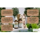 thumbnail image 2 of Set 2 Aceites de Cúrcuma para el Rostro Advanced Clinicals Antioxidante con Extracto de Rosa y Aceite de Jojoba 1.8Oz Advanced Clinicals AC-664257, 2 of 9