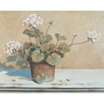 thumbnail image 2 of Unknown 31x26 White Modern Wood Framed Museum Art Print Titled - Potted Geranium II, 2 of 4