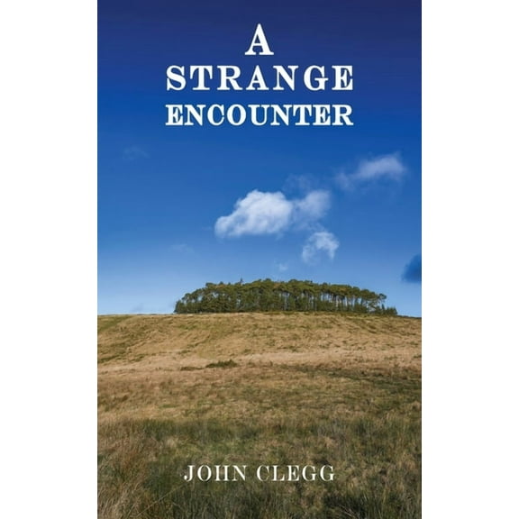 A Strange Encounter (Paperback)
