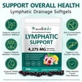 thumbnail image 2 of Lymphatic Support, 21-In-1 with Echinacea, Dandelion, Burdock, Supports lmmune & Lymphatic Wellness, 240 Softgels, 2 of 4