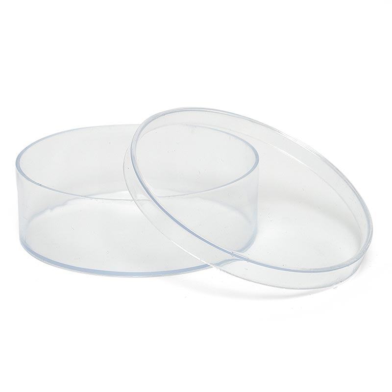 12ea 6" X 2"Clear Round Plastic Box (12/Package) by Paper Mart