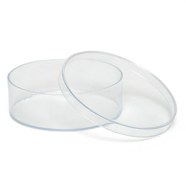 12ea 6" X 2"Clear Round Plastic Box (12/Package) by Paper Mart