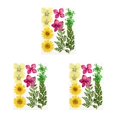 thumbnail image 3 of Conjunto de flores secas sweethay fotografía DIY calcomanía de flores reales, 3 of 6