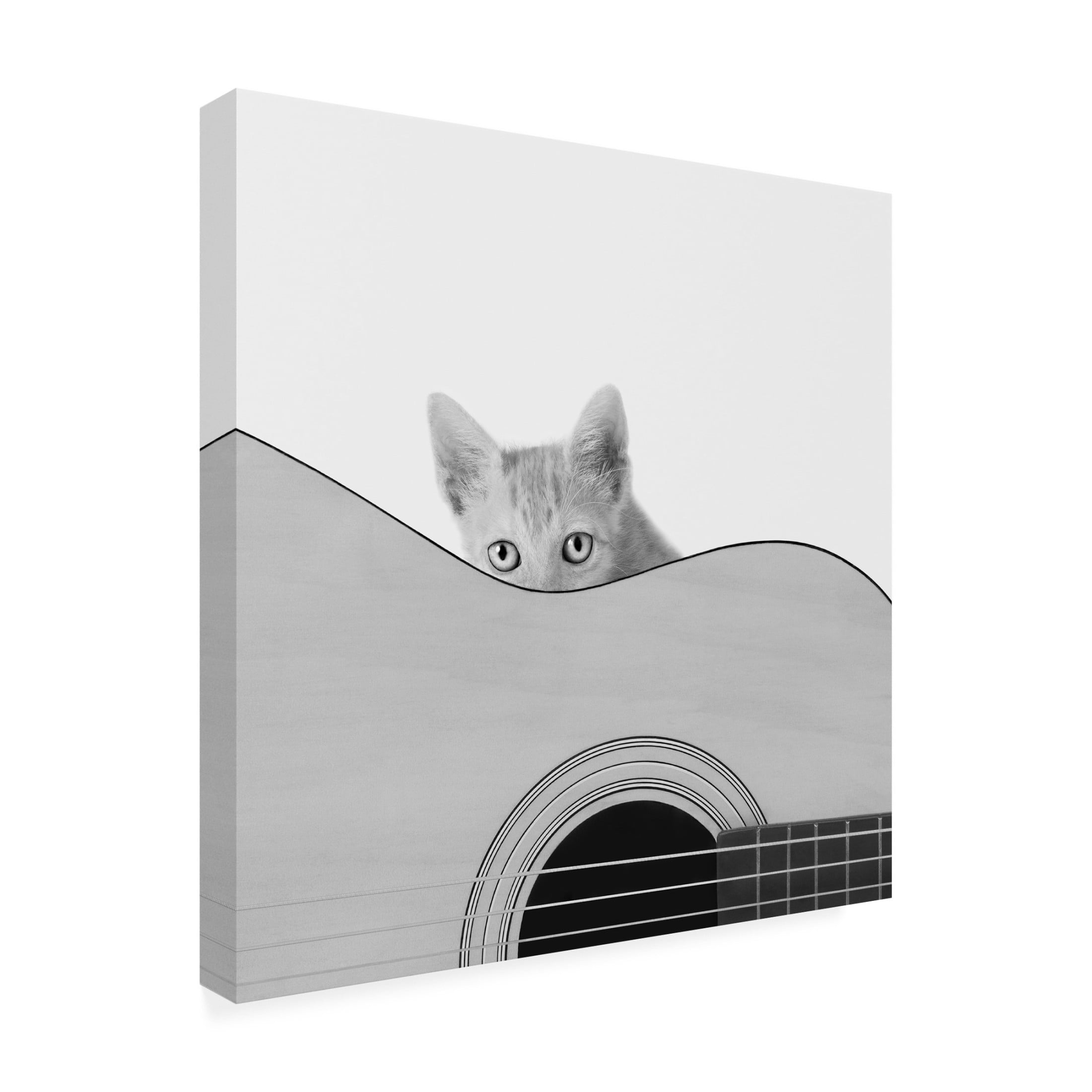 Canvas Wall Art - Jon Bertelli 'Whiskers and Strings' Wall Art for Living Room, Bedroom, or Office Décor by Trademark Fine Art - 35 x 35 Inches