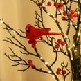 thumbnail image 4 of Vintage Glowing Tree with Cardinals, 24 LED Cardinal Christmas Tree with Lighted Branches & Berries, 21 Inch Lighted Mini Birch Trees for Xmas Indoor Tabletop Centerpiece Operated by Battery (2PCS), 4 of 8