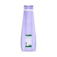 thumbnail image 5 of Shampoo Savilé ace esencial lavanda 700ml, 5 of 5