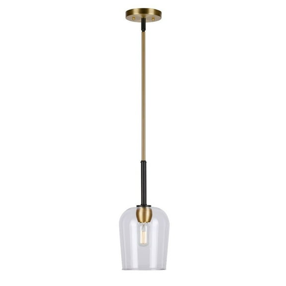 Forte Lighting 2726-01 Palmer 7" Wide Mini Pendant - Black and Soft Gold
