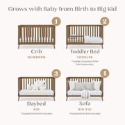 Delta Children Essex 4-in-1 Convertible Crib - Greenguard Gold Certified - Converts from Baby Crib to Toddler Bed, Daybed and Sofa Bed, Fits Standard Full-Size Crib Mattress, Chestnut
