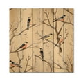 thumbnail image 3 of Designart "Little Birds Perched on Tree Branches VII" Animals Print on Natural Pine Wood, 3 of 5