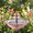 Pink, variant on Solar Cascade Hanging Bird Bath Fountain,2026 New 3 Layers Solar Powered Bird Bath Fountain,Outdoor Humming Birds Cascade Baths Fountains,Garden Patio Yard Backyard Lawn Decor