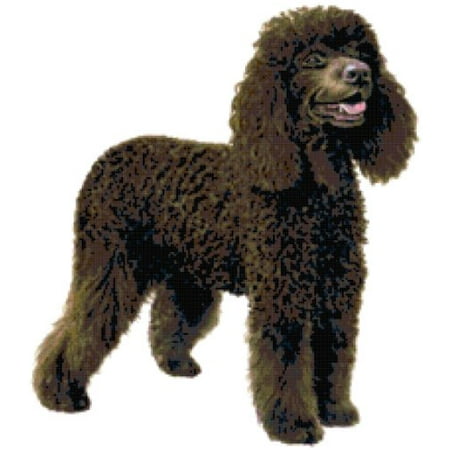 Spaniel Needlepoint - Irish Water Spaniel Dog Counted Cross Stitch Pattern
