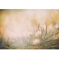thumbnail image 2 of Ajlec, Jana 18x14 White Modern Wood Framed Museum Art Print Titled - Untitled, 2 of 4