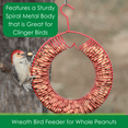 thumbnail image 3 of Songbird Essentials Bird Feeder Squirrel Feeder Whole Peanuts Wreath Red, 3 of 7