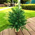 thumbnail image 6 of Cedar Mini Flocked Christmas Tree, PVC Small Tree For Holiday Tabletop Displays, Shelves, Or Mantels, Perfect Christmas Decoration To Add Festive Charm And Seasonal Cheer To Any Room, 6 of 6