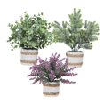 thumbnail image 1 of 3 uds plantas falsas en maceta Macarena decoración interior Estilo B, 1 of 8