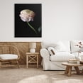 thumbnail image 2 of Stupell Industries Ranunculus on Black Botanical & Floral Photography Gallery Wrapped Canvas Print Wall Art, 36 x 48, 2 of 7