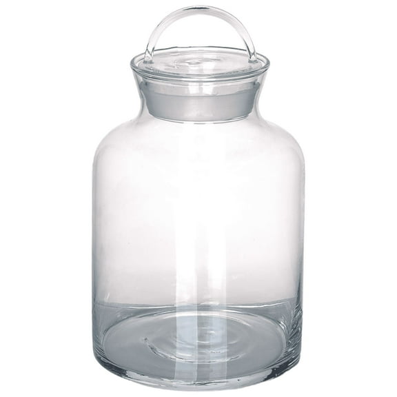 CC Home Furnishings 7" Clear Candy Dish Jar with Lid