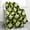 Lemon-532, variant on Avocado Fruit Blanket Gifts for Mom Women Kids Girls Home Bedroom Living Room Mother''s Day Decor Soft Cozy Lightweight Cute Throw Blankets 50"x60"
