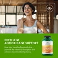 thumbnail image 2 of Swanson Timed-Release Vitamin C with Rose Hips Immune System Support Skin Cardiovascular Health Antioxidant Supplement 1000 mg 250 Tablets (2 Pack), 2 of 7