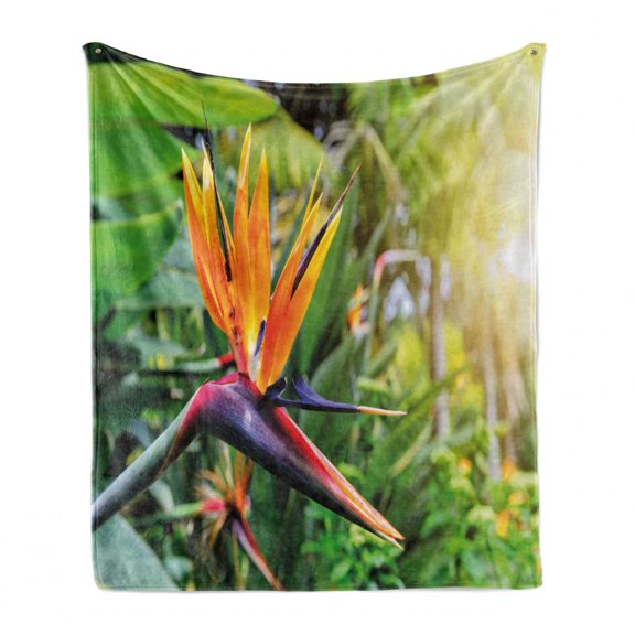 Plant Soft Flannel Fleece Blanket, Close-up Image of Strelitzia Reginae Bird of Paradise Flower Madeira Island Portugal, Cozy Plush for Indoor and Outdoor Use, 70" x 90", Multicolor, by Ambesonne