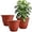 Pottery Red, variant on 12 Inch Plant Pots, Large Planters for Outdoor Plants, Plastic Flower Pots - Durable and Lightweight with Drainage Holes (3 Packs, Gray)
