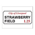 thumbnail image 1 of Magic Moments - Tarjeta Postal Strawberry Field (Blanco, Negro, Rojo), 1 of 2