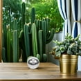 thumbnail image 4 of SOPOTUTU Polished Stainless Steel Gazing Globe Mirror Sphere for Outdoor Garden Decoration and Patio, 4 of 8