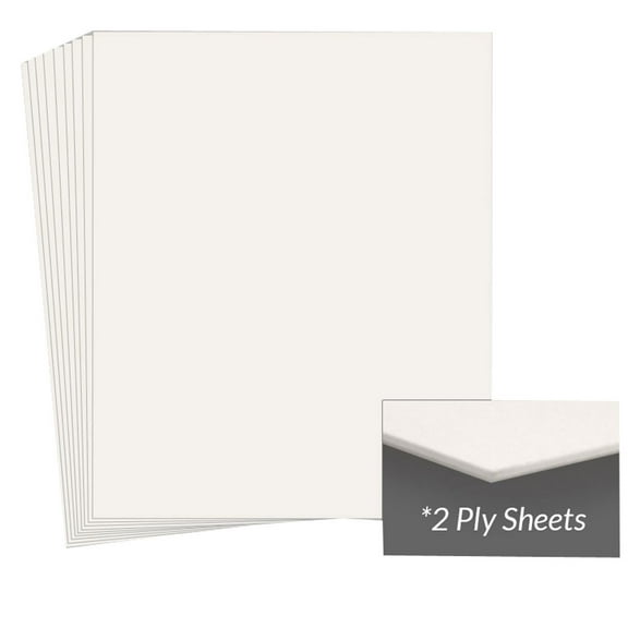 Archival Methods Conservation Mat Board, 14x17", 2 Ply, Pearl White, Package of 25