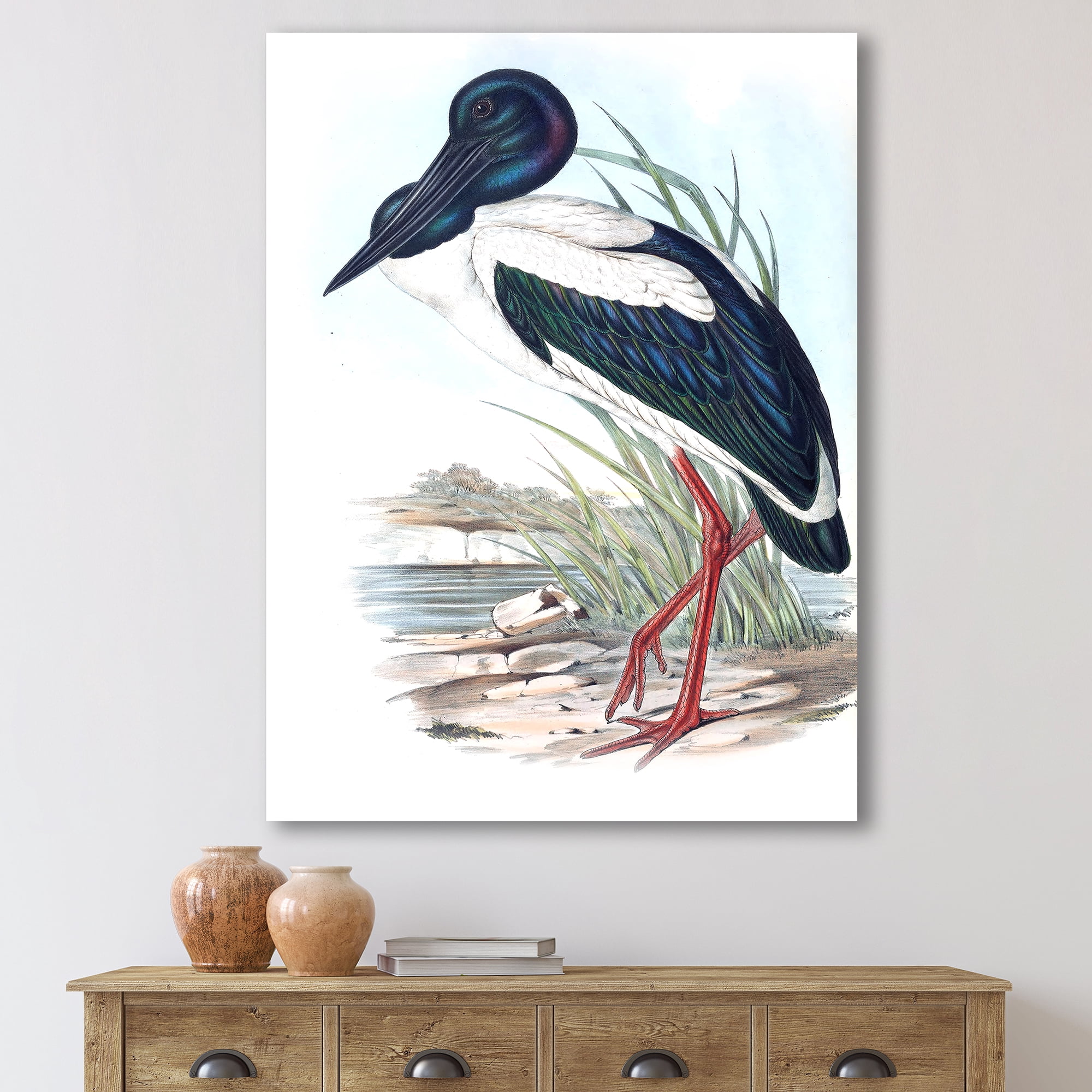 Designart ' Australian Vintage Birds I ' Traditional Canvas Wall Art Print