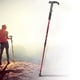 thumbnail image 5 of Alpenstock, Propicio Llamativo Ubicuo Preciso Para Interiores ANGGREK FG2717, 5 of 8