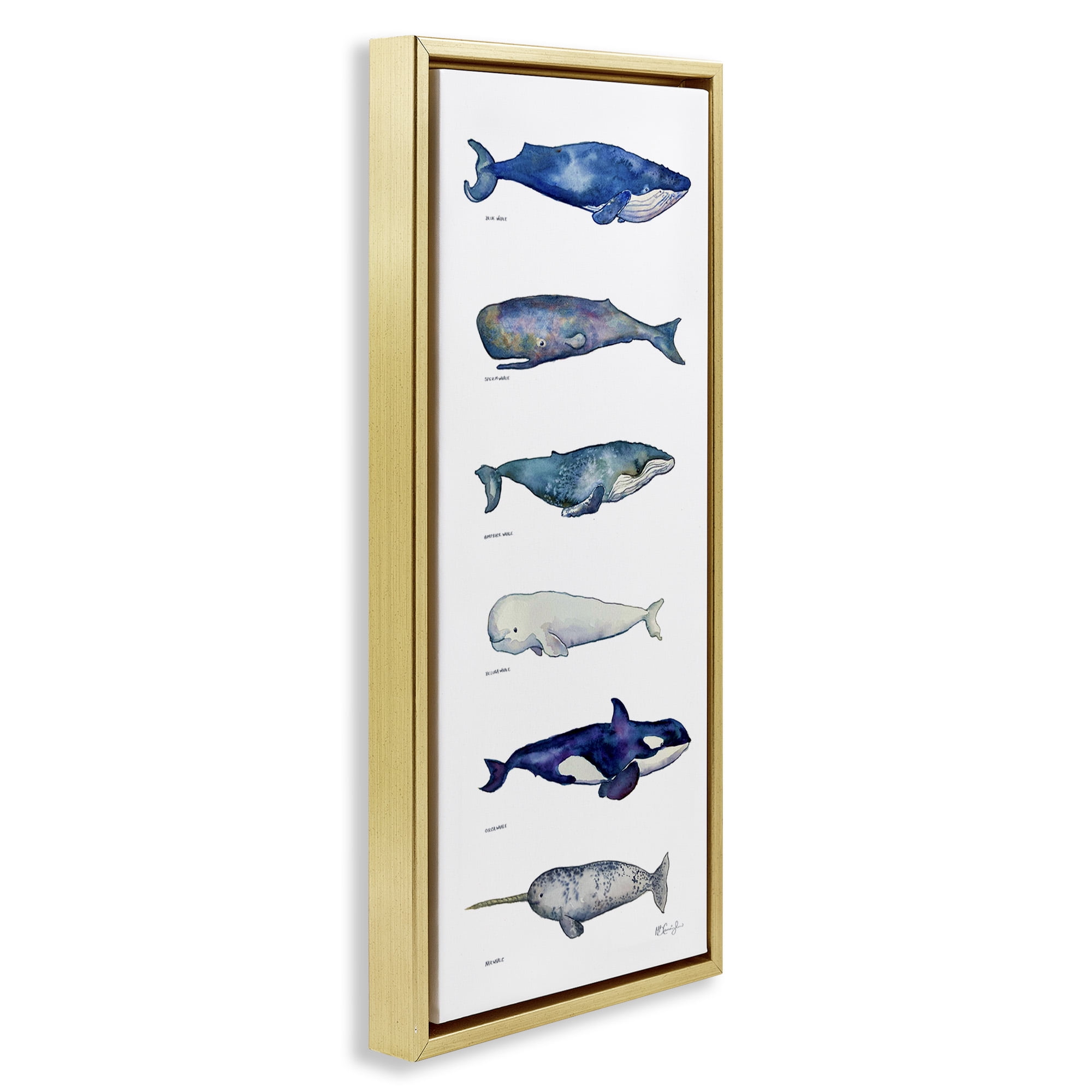 Stupell Industries Maritime Sea Life Chart Animals & Insects Painting Gold Floater Framed Canvas Art Print Wall Art, 15 x 31