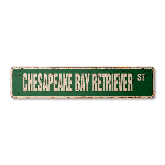 CHESAPEAKE BAY RETRIEVER Vintage Plastic Street Sign Name Room Sign | Indoor/Outdoor | 36" Wide