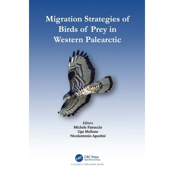 Migration Strategies of Birds of Prey in Western Palearctic, (Paperback)