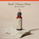 thumbnail image 5 of Flower Essence Bach Original Cherry Plum, 10 ml, sin alcohol, 5 of 5