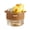 Coffee, variant on Cute Small Duck Humidifier USB Portable Water Replenishing Spray