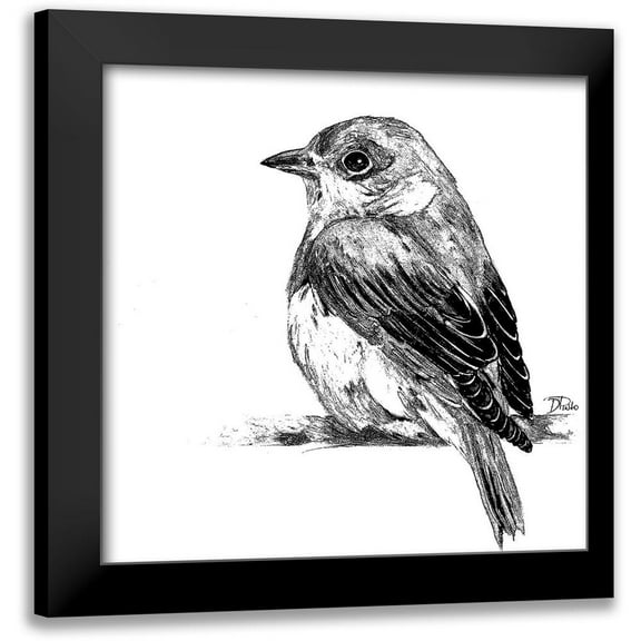 Pinto, Patricia 12x12 Black Modern Framed Museum Art Print Titled - Black And White Baby Bird II