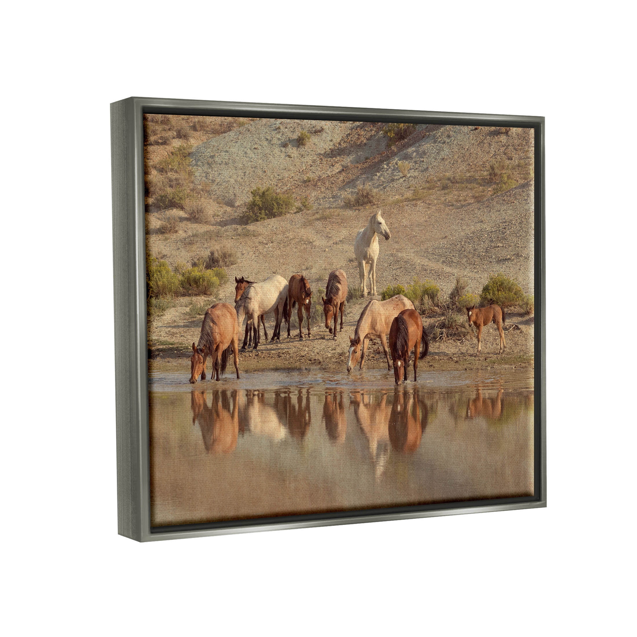 Stupell Industries Horses Drinking Countryside Photograph Luster Gray Floating Framed Canvas Print Wall Art, Design by Jan Walters