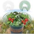 thumbnail image 2 of Yazoeia Strawberry Supports Strawberry Plant Support,Strawberry Plant Support Stand Strawberry Growing Racks Protector,Fruit Growing Frame with 3 Sturdy Legs for Planting CJC912-156495, 2 of 8