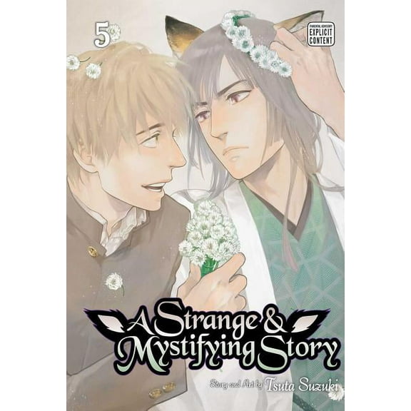 Strange and Mystifying Story Strange & Mystifying Story, Vol. 5, Book 5, (Paperback)