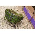 thumbnail image 3 of Musgo en láminas preservado SuperMoss 21508 verde fresco 2.27 kg, 3 of 5