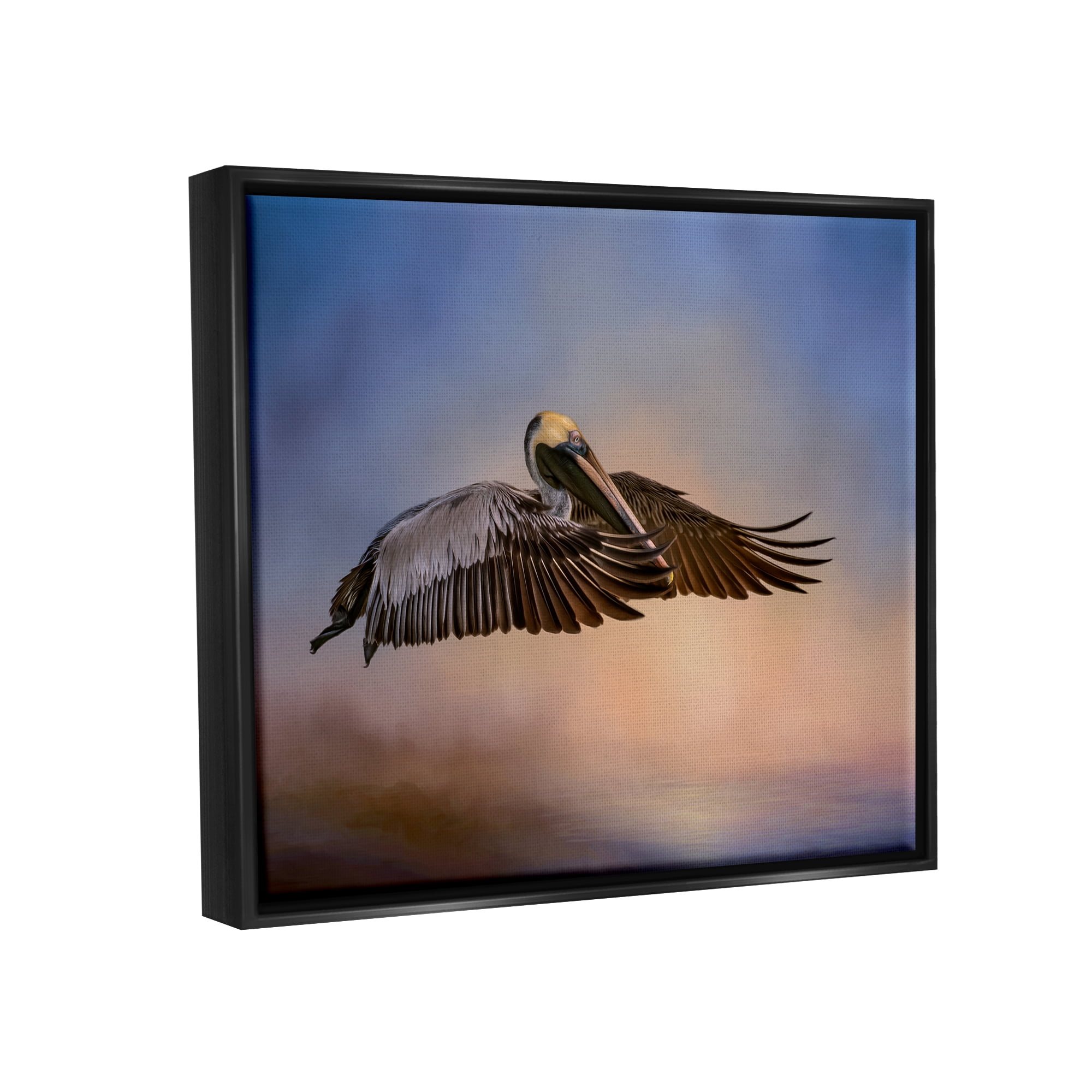 Stupell Industries Graceful Flyer Pelican Portrait Animals & Insects Photography Black Floater Framed Art Print Wall Art, 21 x 17