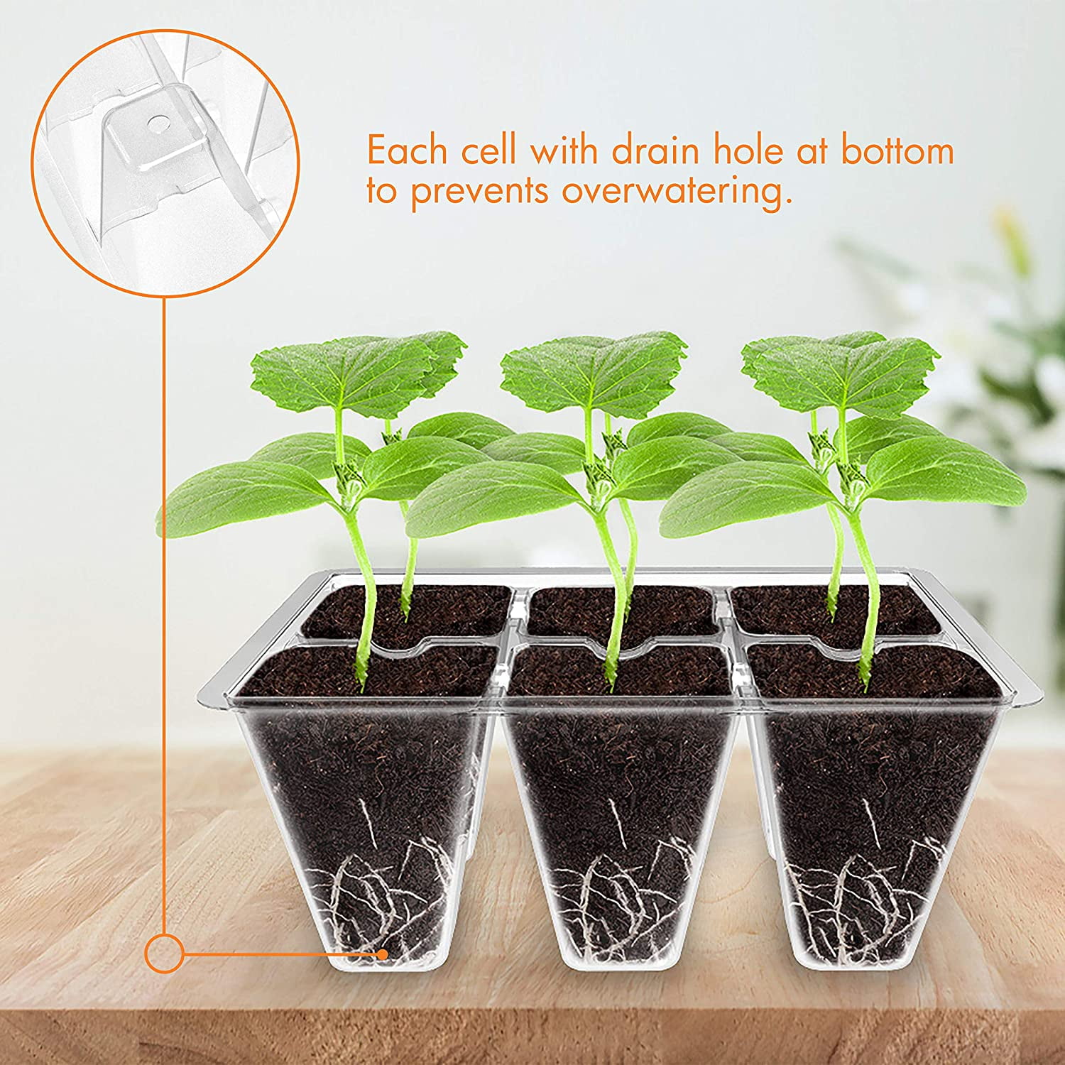 10 Pack Seed Starting Tray, Plant Germination Trays, Seed Starter Kit with Adjustable Humidity Vented Dome, Plant Growing Kit 6.6" x 4.5", Total 120-Cell, Clear