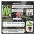 thumbnail image 3 of Semillas Calabaza Larga Vita, 3 of 5