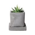 thumbnail image 1 of Mini Cute Flowerpot With Tray Cement Flowerpot Creative Simple Succulent Plants Flowerpot, 1 of 11