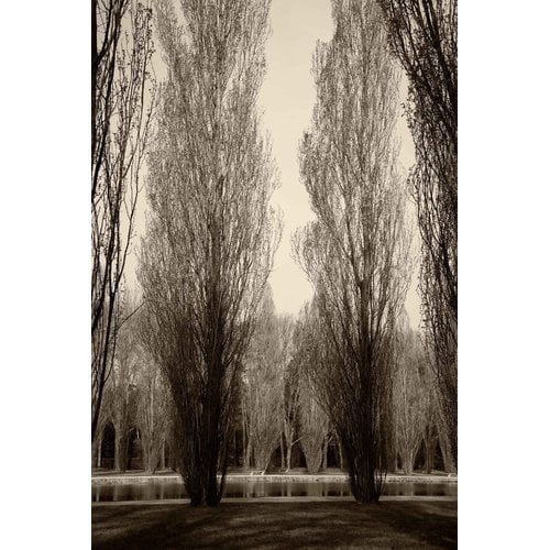 "Tree Pair" Painting Print on Wrapped Canvas