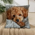thumbnail image 3 of Tyidzon Pillow Covers 18"X18" Holiday Animals Themed Modern Decorative Throw Pillow Covers Pillow Protectors Cushion Case Home Living Room Decor for Sofa Car, 3 of 6
