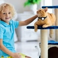 thumbnail image 5 of Oliegs Localisateur de Perte de Couverture pour Chats avec Collier Réglable, Dispositif de Suivi Réel pour Activité Intérieure et Extérieure, 5 of 5