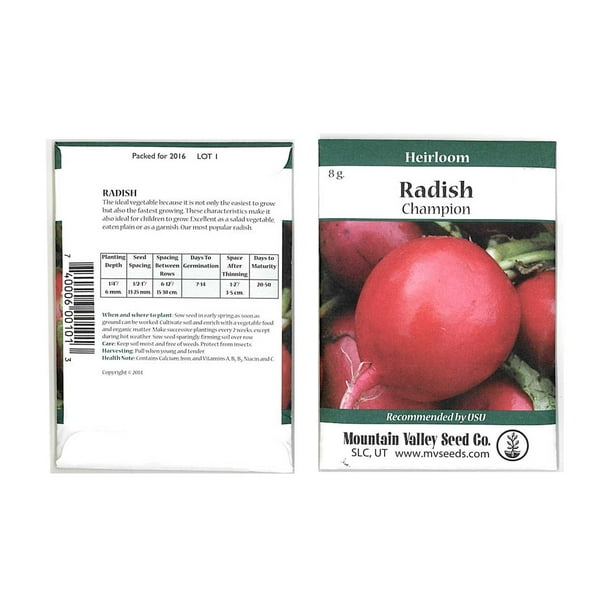 Champion Radish Seeds 8 Gram Seed Packet Heirloom Garden Seeds, Non