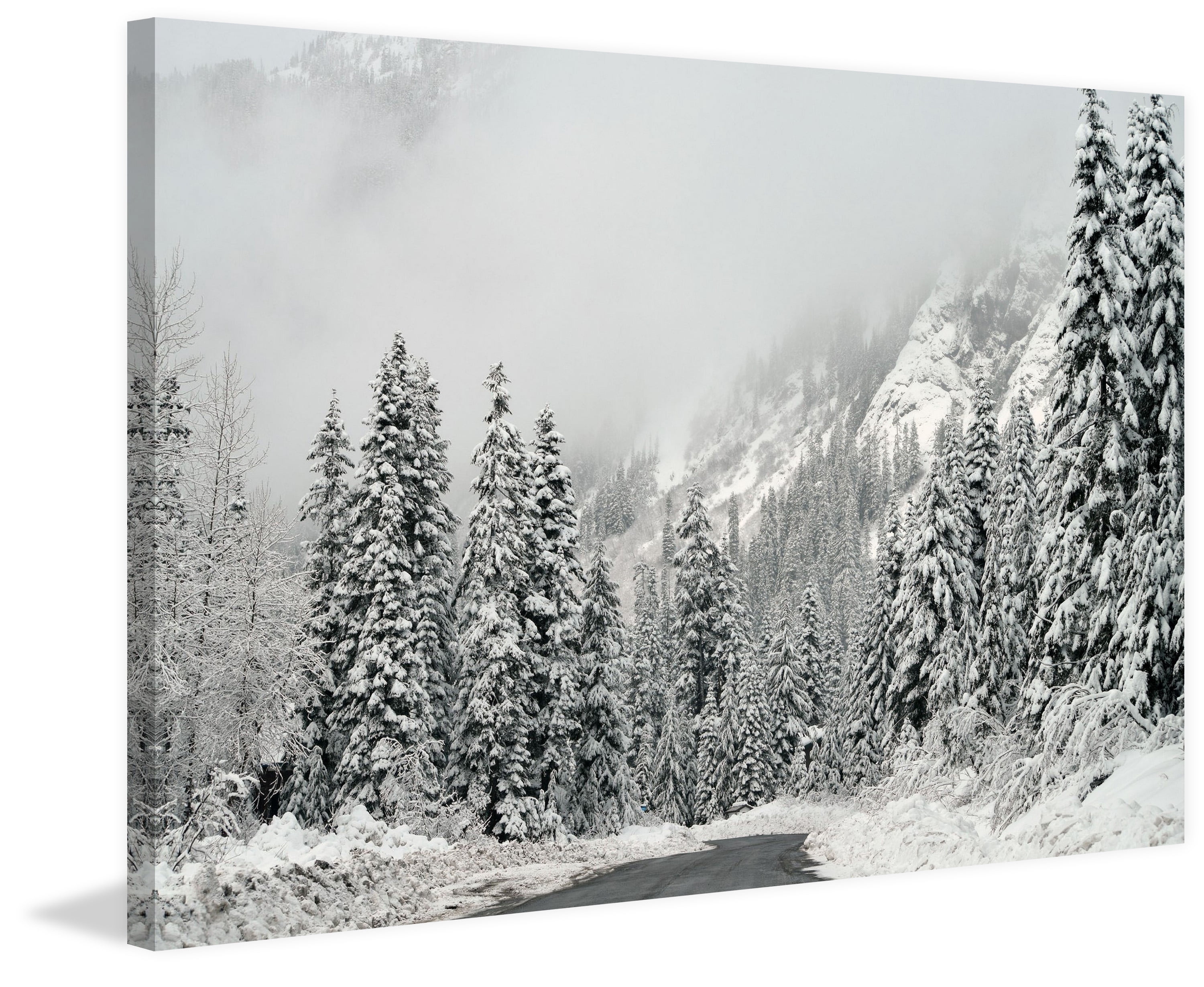 "Winter Wonderland" Painting Print on Wrapped Canvas